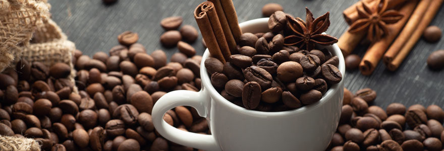 Café en grain ou café moulu : que choisir ?